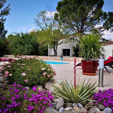 Mas Des Tournevents Lezignan-Corbieres Exterior foto
