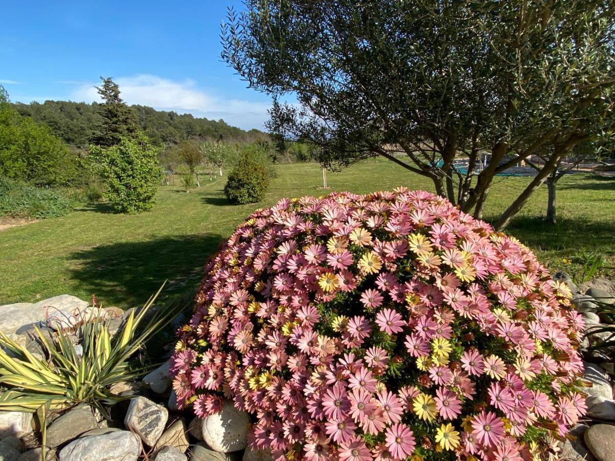 Mas Des Tournevents Lezignan-Corbieres Exterior foto