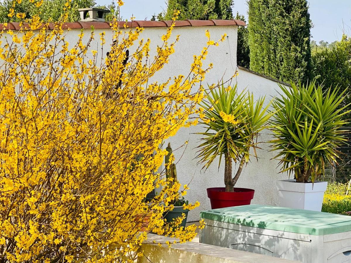 Mas Des Tournevents Lezignan-Corbieres Exterior foto